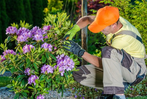Tree removal in a Hatchend garden with careful access planning