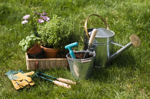 Tree pruning to improve light and clearance in a Hatchend garden