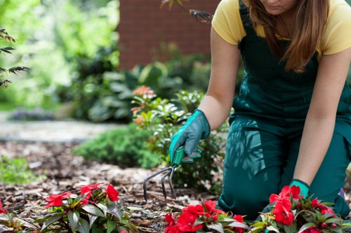 Careful hedge reduction and shaping for a Hatchend property