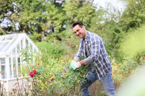 Tree surgery equipment and pruning work in a residential landscape