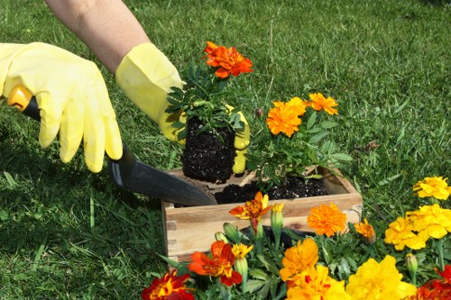 Essential cookies and privacy settings concept for a tree surgery website