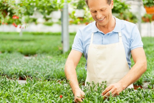 Local tree surgery for shaded residential gardens in Hatchend