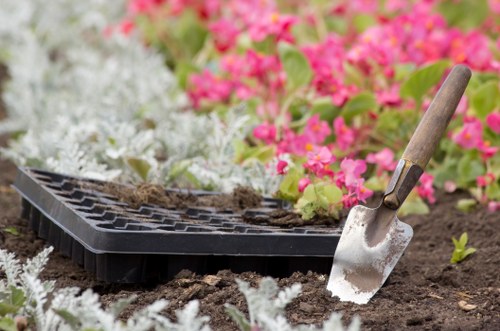 Healthy trees maintained by expert tree surgeons in Hatchend
